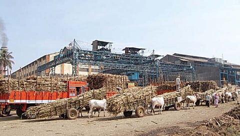 कोपरगाव : पावसाने ऊस गाळपाचे नियोजन बिघडणार