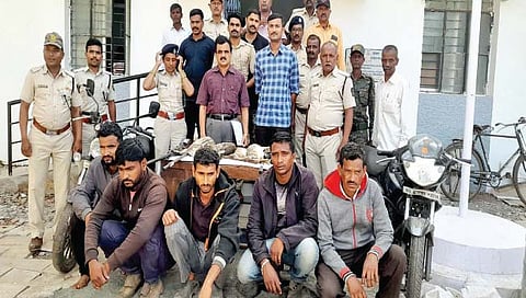 शिराळा : सशांची शिकार करणारे पाच अटकेत