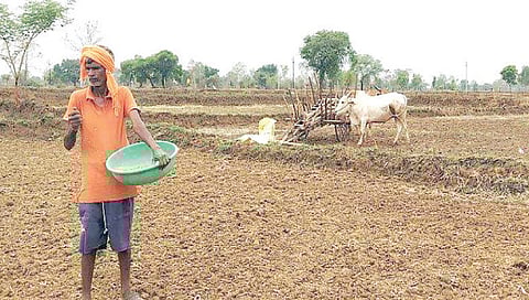 Nashik Igatpuri : पावसाच्याच तालुक्यात दमदार पाऊस नसल्याने चिंता कायम