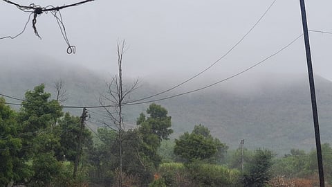 सांगली : वाळवा तालुक्यात पावसाचे आगमन