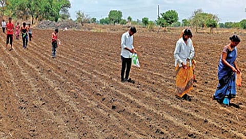 औरंगाबाद: जिल्ह्यावर पाऊस रुसला