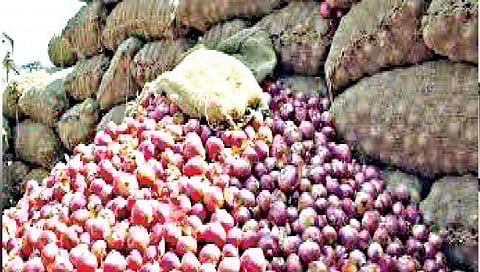 वैजापूर : कांदाचाळीतून 50 क्विंटल कांदे लंपास