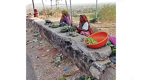 दिंडोरी : वणी-सापुतारा रोडवर आदिवासी बांधवांनी विक्रीस आणलेले करवंदे. (छाया : समाधान पाटील)