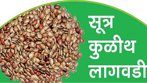 सूत्र कुळीथ लागवडीचे