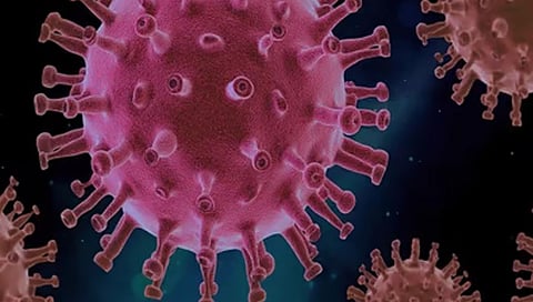 सोलापूर शहरात कोरोनाचे 24 सक्रिय रुग्ण