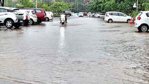 राज्यात सर्वत्र दमदार कोसळधार