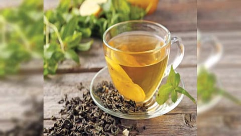 ग्रीन टी किती वेळा प्यावा?