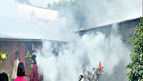 खटावमध्ये चिकुनगुनियाचे चार रुग्ण