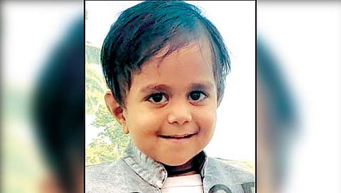 कुत्र्यांच्या हल्ल्यात चिमुकला ठार