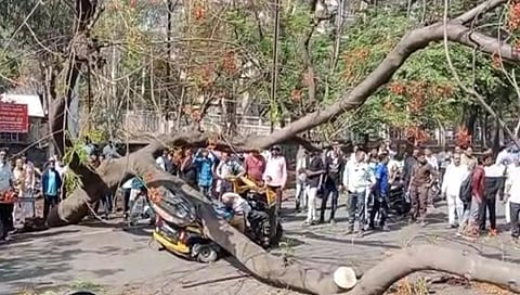 नाशिक : चालत्या रिक्षावर झाड कोसळून रिक्षाचालक व प्रवासी महिला ठार