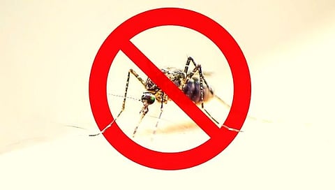 लातूर : डास प्रतिबंधासाठी मनपाची अॅबेटिंग मोहीम