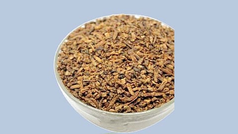 दंतमंजन आंब्याच्या कोयीपासून