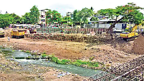 नंदीनी www.pudhari.news