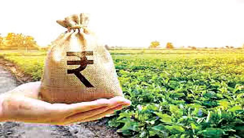 ई-पीक नोंदणी