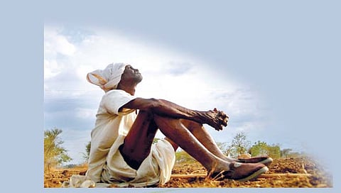 मान्सून रेंगाळला; काय करावे?