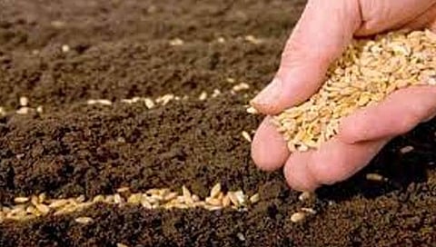 महिला शेतकर्यांवर ओढवलेल्या संकटात जिल्हा प्रशासनाची साथ