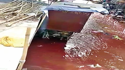 मालेगाव : पुलावर पुन्हा वाहिले रक्तमिश्रित पाणी