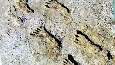 पदचिन्हे