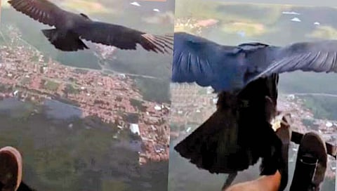 पॅराग्लायडिंग