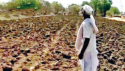 बळीराजाला राज्य सरकारचा दिलासा ; नियमित कर्ज फेडणार्या शेतकर्यांना 50 हजार अनुदान