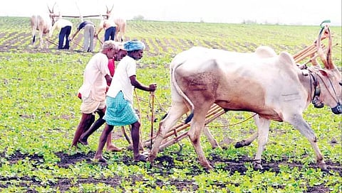 नियोजन : त्रिसूत्री शेती विकासाची