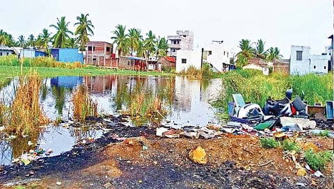 शामरावनगरसह विस्तारित भागाचे दैन्य संपणार कधी?