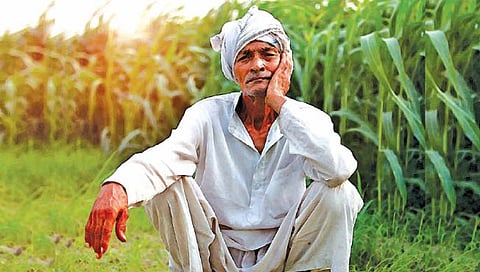 सांगली : 50 हजारांपासून हजारो शेतकरी राहणार वंचित?