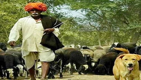 समाजातील सर्वजण एकोप्याने राहतोय; चंदूर धनगर समाजाचे स्पष्टीकरण