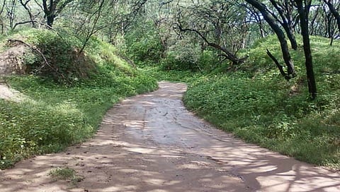 रत्नागिरी : रस्ता न करताच निधी खर्च?