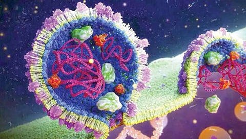 समुद्रातही ‘आरएनए’ विषाणूंचा गुप्त दबदबा