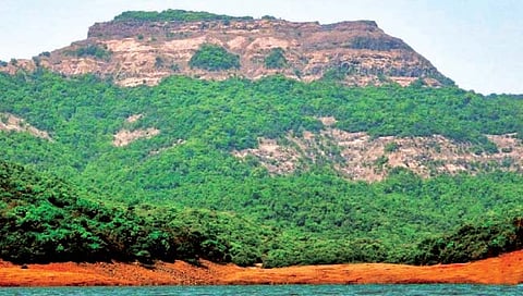 सातारा : वासोटा पर्यटन प्रवेश शुल्कात वाढ