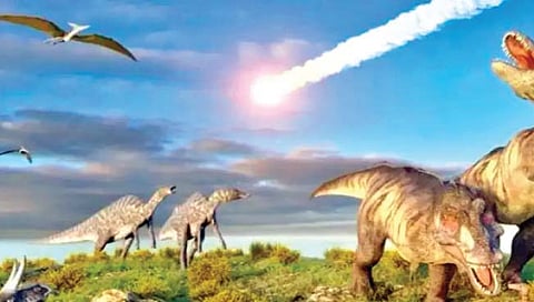 जीवसृष्टी : 25 कोटी वर्षांपूर्वीच्या ‘प्रलया’नंतरचे जीव अधिक सरस