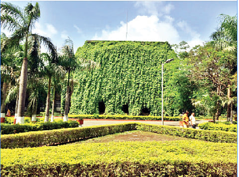 अखेर न्यायालयातील ‘त्या’ जाळ्या हटविल्या; दैनिक ‘पुढारी’च्या वृत्तानंतर प्रशासन खडबडून जागे