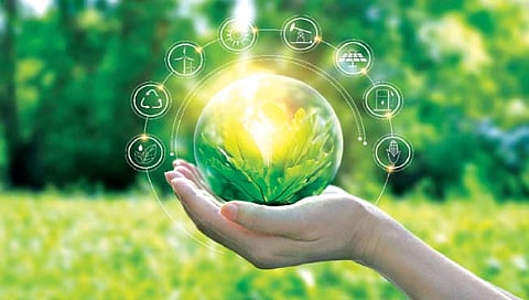 करिअरचा ‘ग्रीन ऑप्शन’