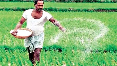 कोल्हापूर : खतांच्या लिंकिंगने शेतकरी त्रस्त