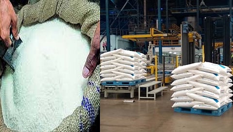सांगली : जिल्ह्यातून होणार 26 हजार टन साखरेची निर्यात