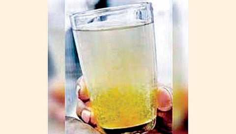 सिंधुदुर्ग : ग्रामीण भागात दूषित पाण्याची समस्या गंभीर!