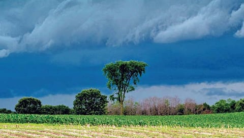 राज्यात सरासरीपेक्षा जादा पाऊस