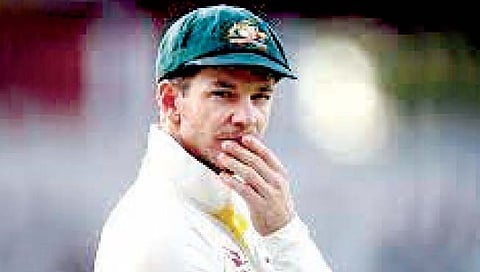 भारतीय खेळाडू स्वार्थी वागले होते : टीम पेन