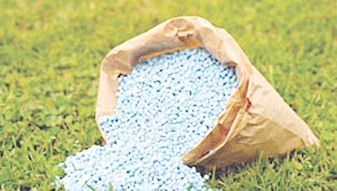 सातारा : खतांच्या वाढीने शेतकरी हैराण; ऐन हंगामात 20 ते 40 टक्क्यांनी वाढ