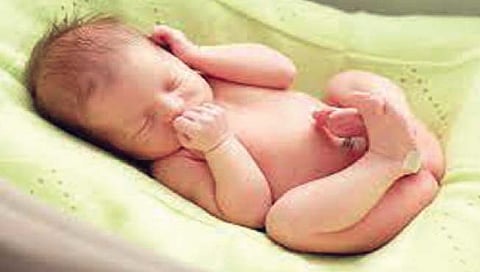 सिंधुदुर्ग : पाच महिन्यांत 2,465 नवजात बालकांचा जन्म!