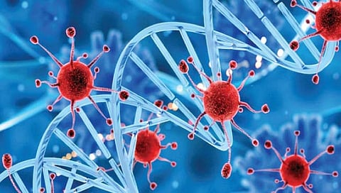 पुणे : पावणेपाचशे महिलांना कर्करोग