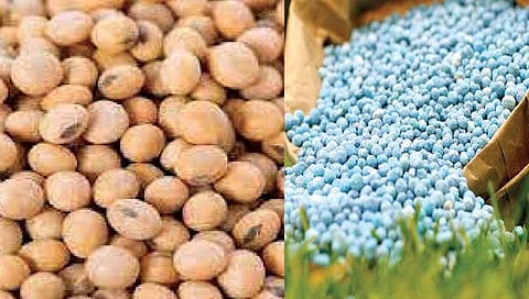 सांगली : बनावट बियाणे, खते लिकिंगचे आव्हान!