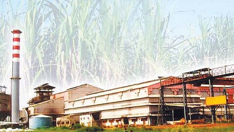 सातारा : जिल्ह्यातील गळीत हंगाम लांबणार