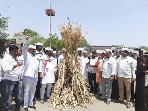 पुणतांबा शेतकरी आंदोलन: कृषीमंत्री दादा भुसे उद्या शेतकऱ्यांशी चर्चा करणार, आंदोलनावर तोडगा निघण्याची शक्यता