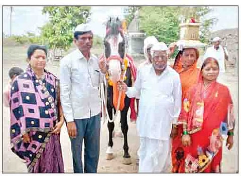 गोतोंडीत आलेला संत तुकाराम महाराज सोहळ्यातील अश्व.