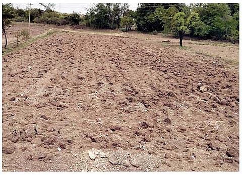 बारामती जिरायत पट्ट्यात पिकांच्या पेरण्या खोळंबल्या