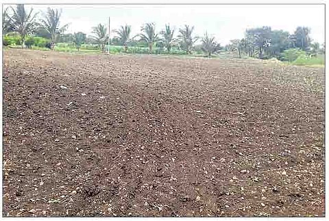 उंडवडी सुपे परिसरात पावसाअभावी पेरण्यांना सुरुवात झालेली नाही.