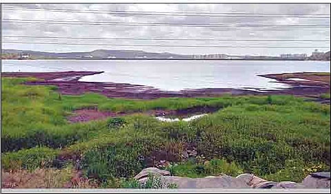 पुणे : मान्सून रुसल्याने धरण क्षेत्रात कडकडीत उन्हाळा