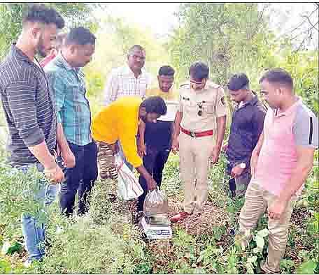 बारामती शहर पोलिसांनी डोर्लेवाडी येथे गांजा विक्रेत्यावर कारवाई केली.